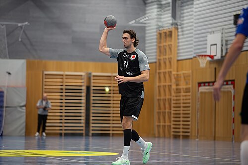 Porträtfoto von Igor Vučković