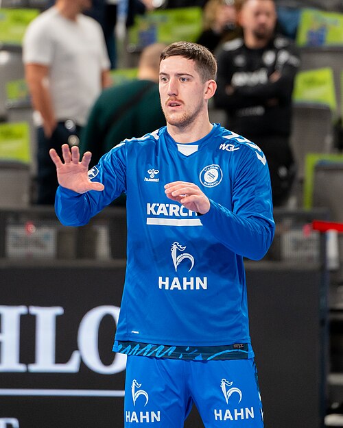Porträtfoto von Ivan Šnajder